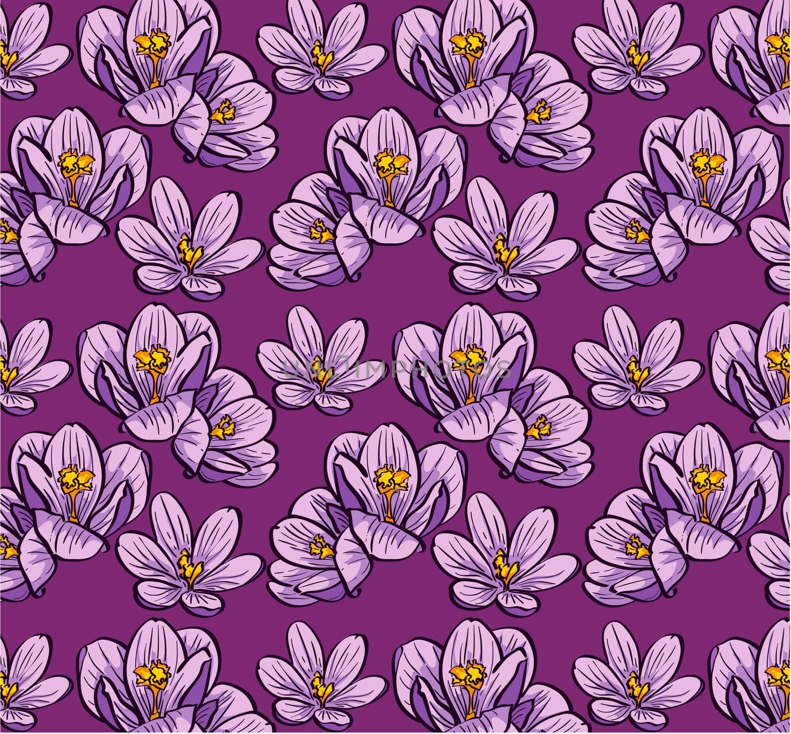 Seamless background flowers crocus
