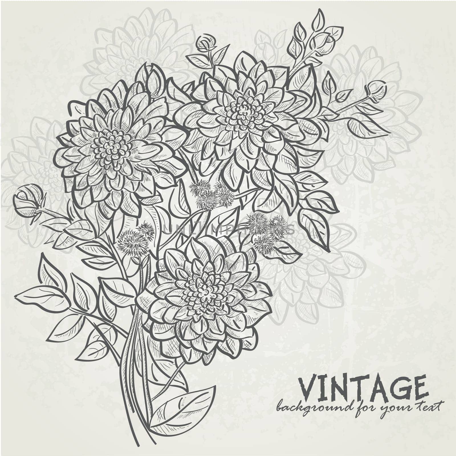 Vintage background with flowers dahlias. Background for your text