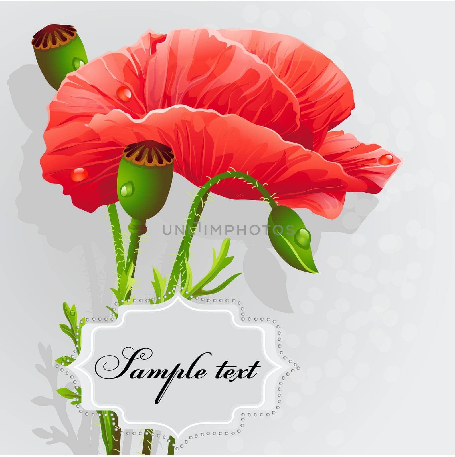 Background with poppies for your text.