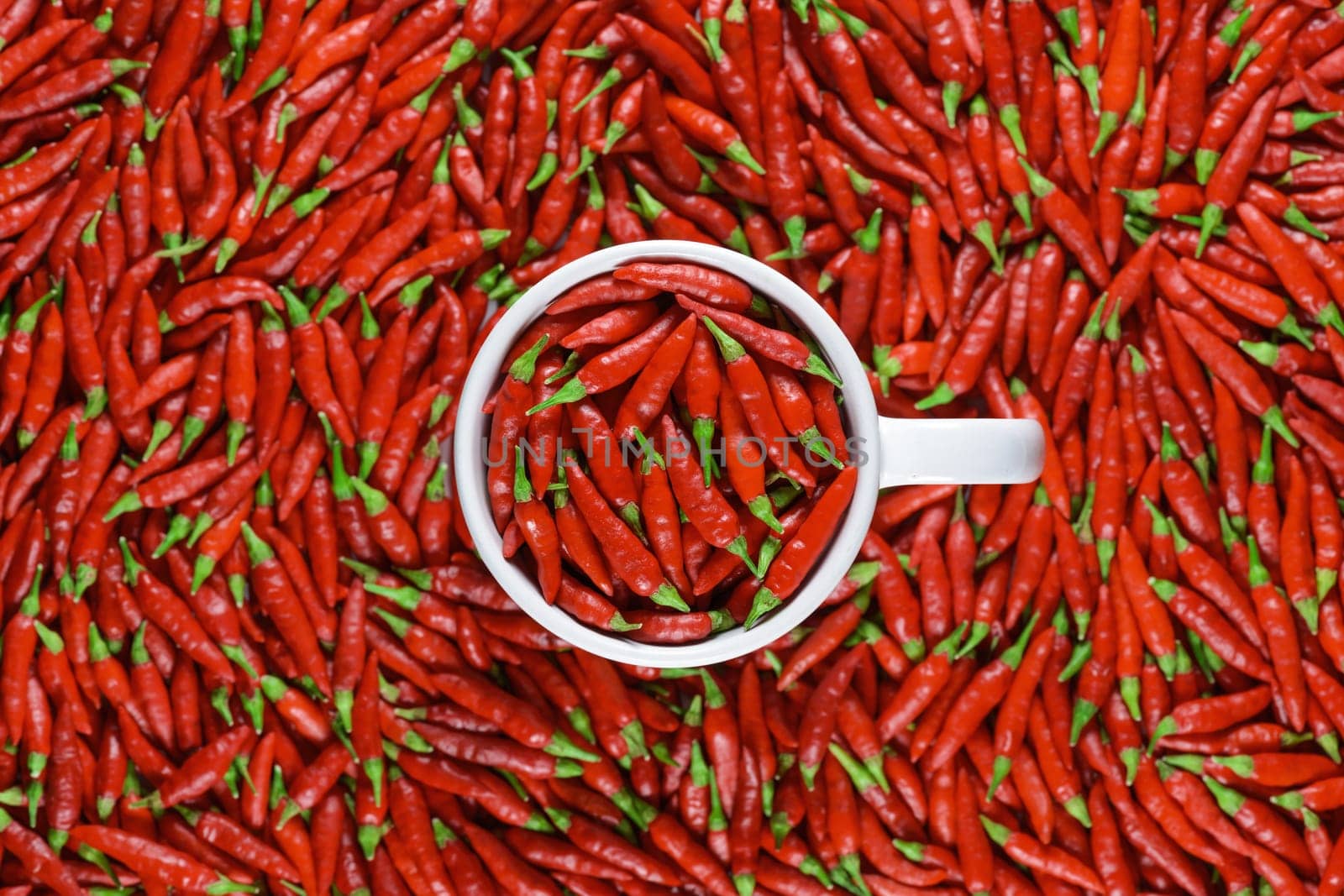 Mug full of red peppers. Depth of field with focus on top of the mug.