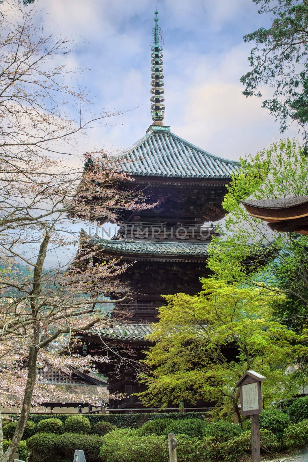 The Image of beautiful sakura seasnon in Kyoto, Japan