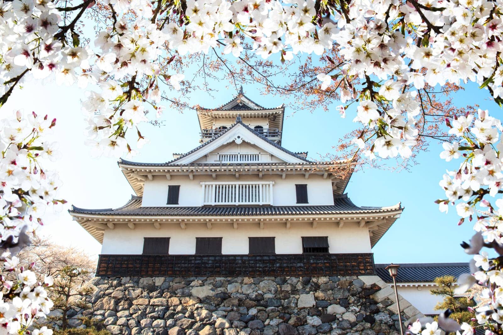The Image of beautiful sakura seasnon in Kyoto, Japan