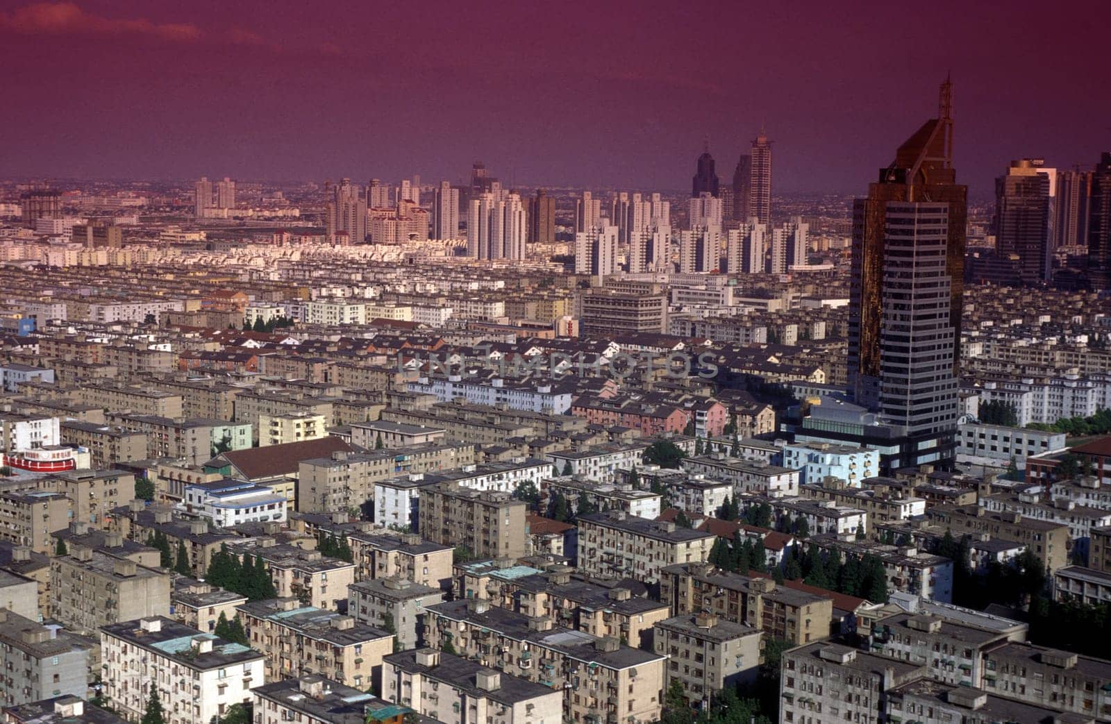 the skyline of Pudong in the City of Shanghai in china in east asia.
