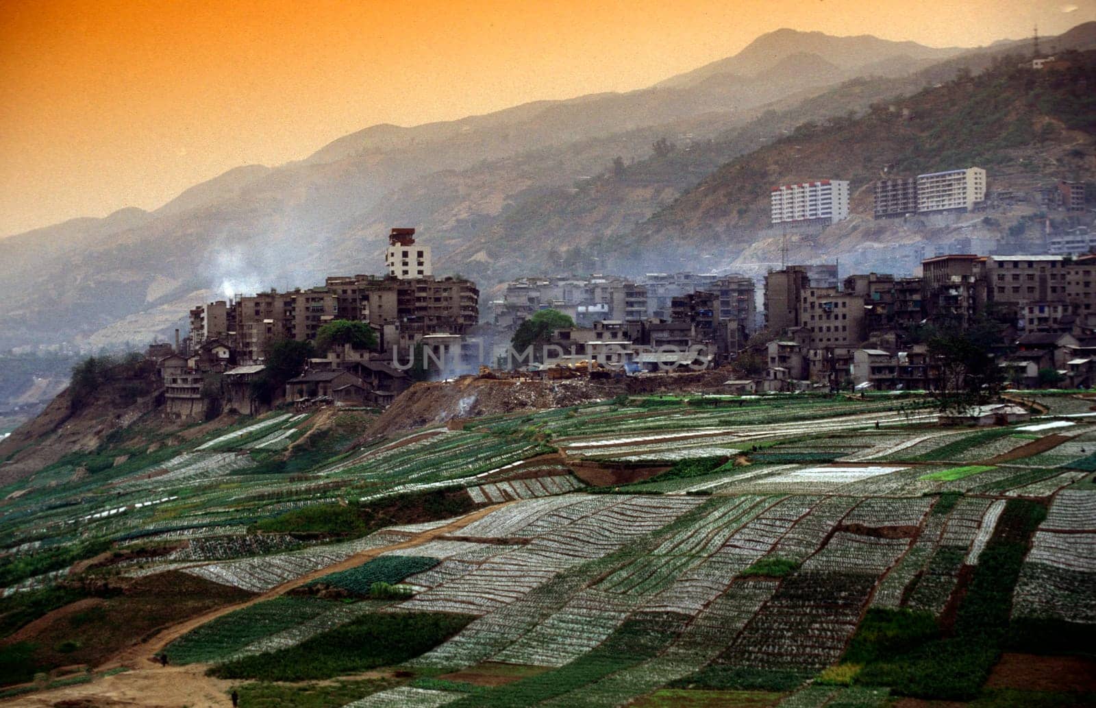 agroculture in the village of fengjie at the yangzee river in the three gorges valley up of the three gorges dam project in the province of hubei in china.