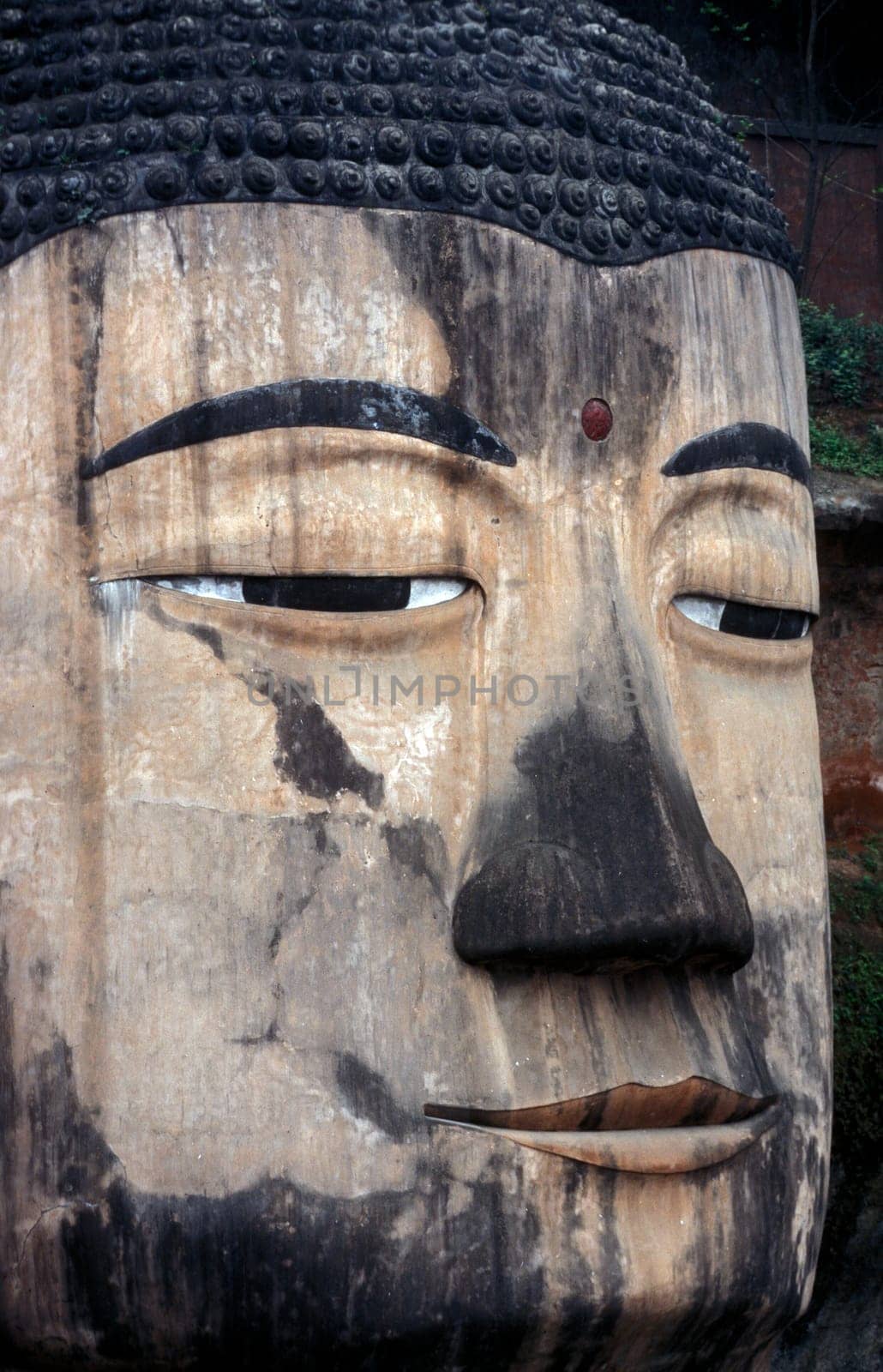 the big Buddha near the city of Leshan in the provinz Sichuan in China in eastasia.