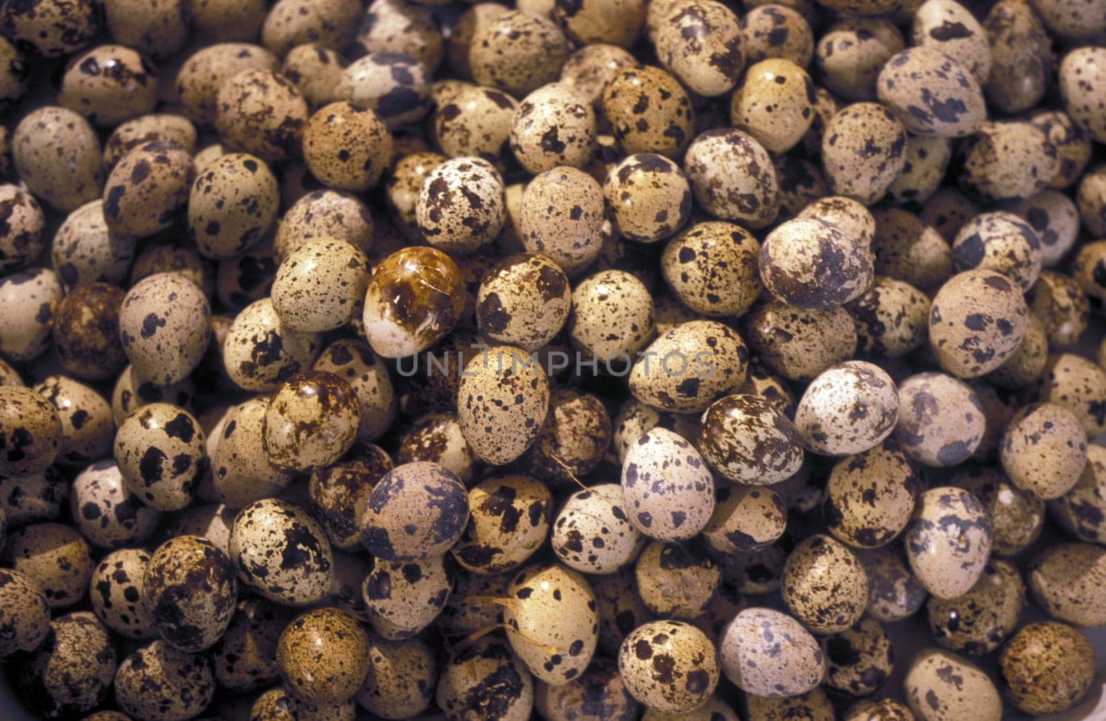 eggs at the Market in the city of Chongqing in the province of Sichuan in china in east asia.