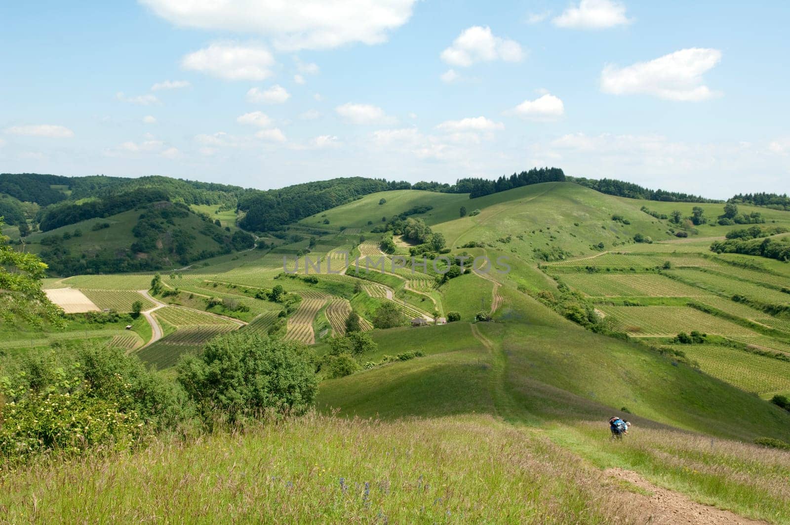 Badberg  Alt-Vogtsburg,kaiserstuhl