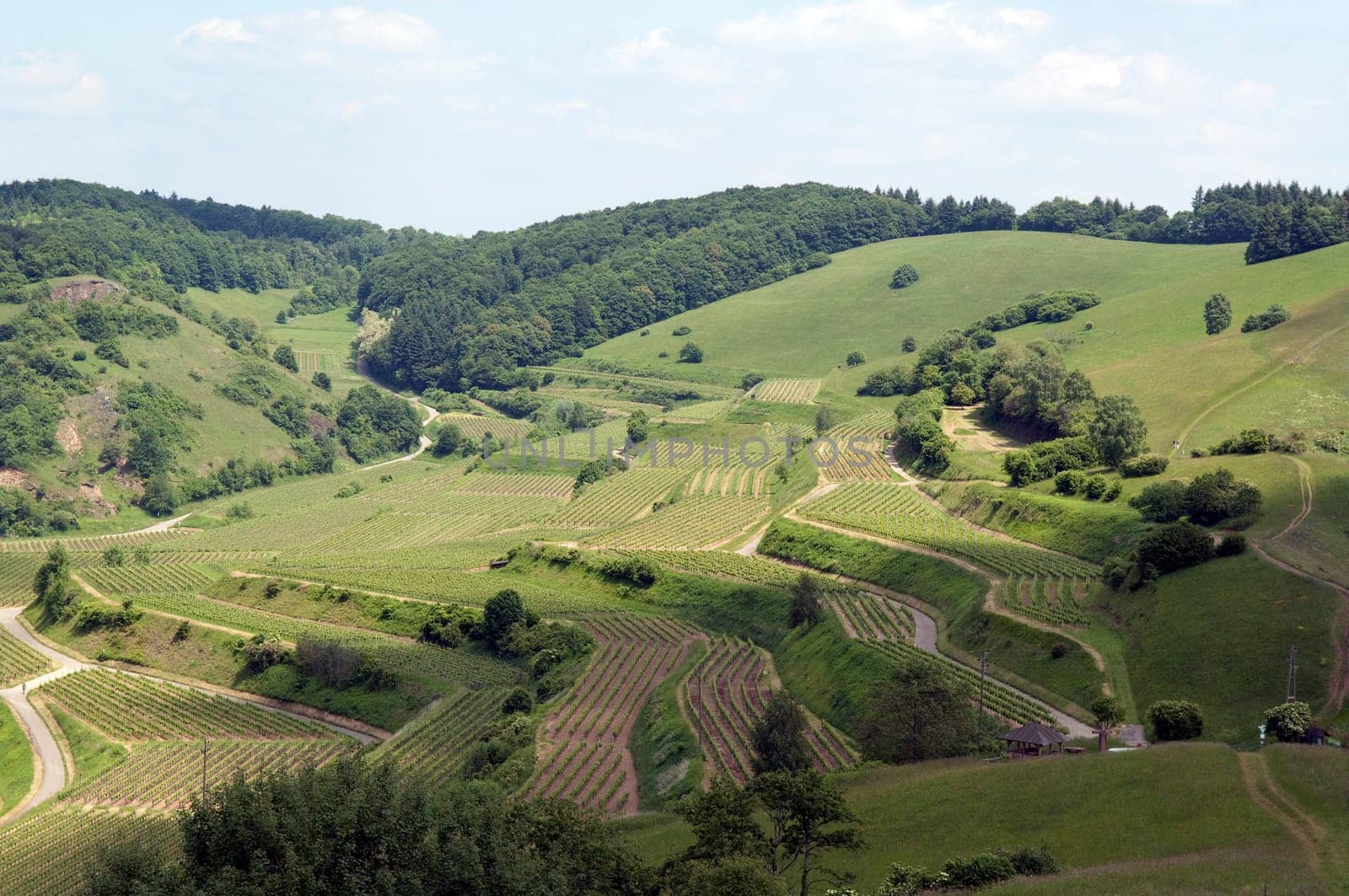 Badberg  Alt-Vogtsburg,kaiserstuhl
