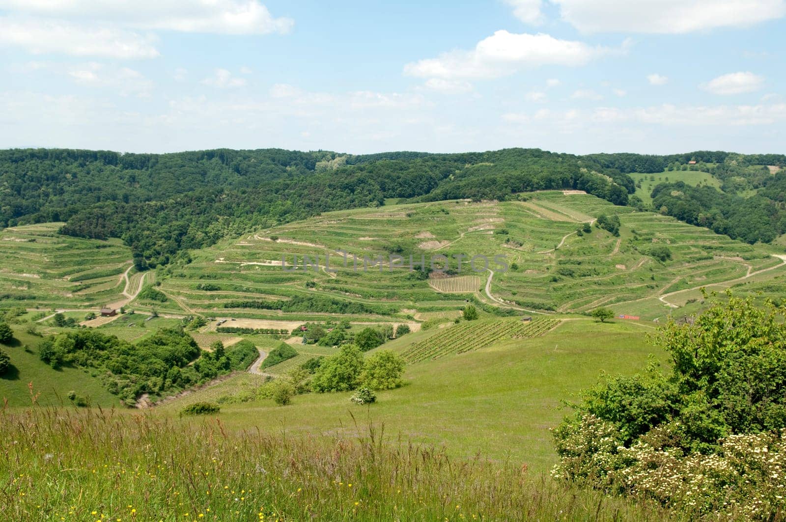 Badberg  Alt-Vogtsburg,kaiserstuhl