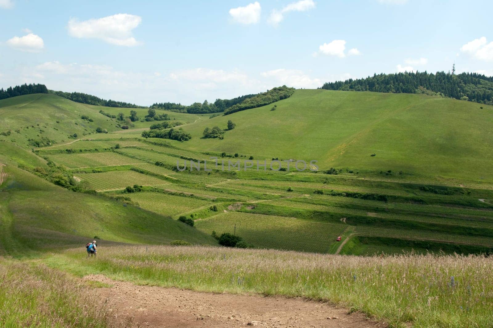 Badberg  Alt-Vogtsburg,kaiserstuhl