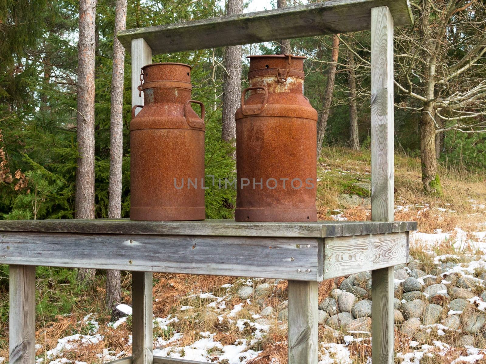 two old rusty milk jug on a bench like a beutiful ornament