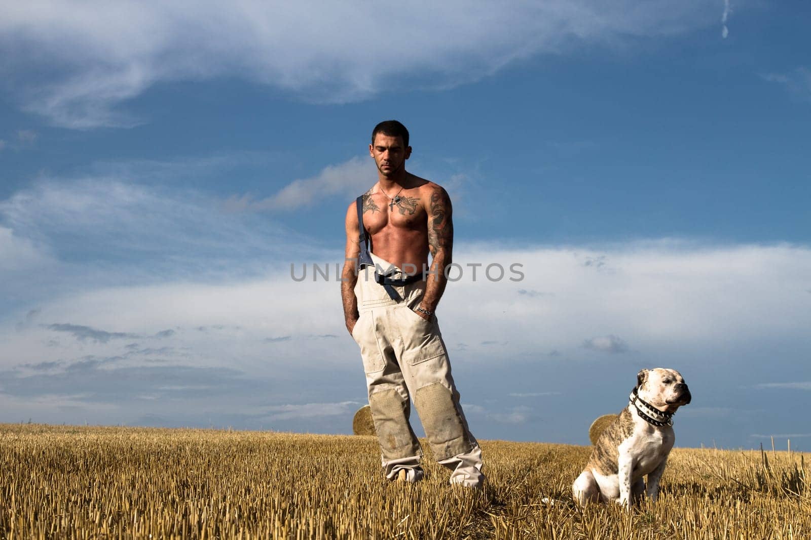 Dogs Whisperer