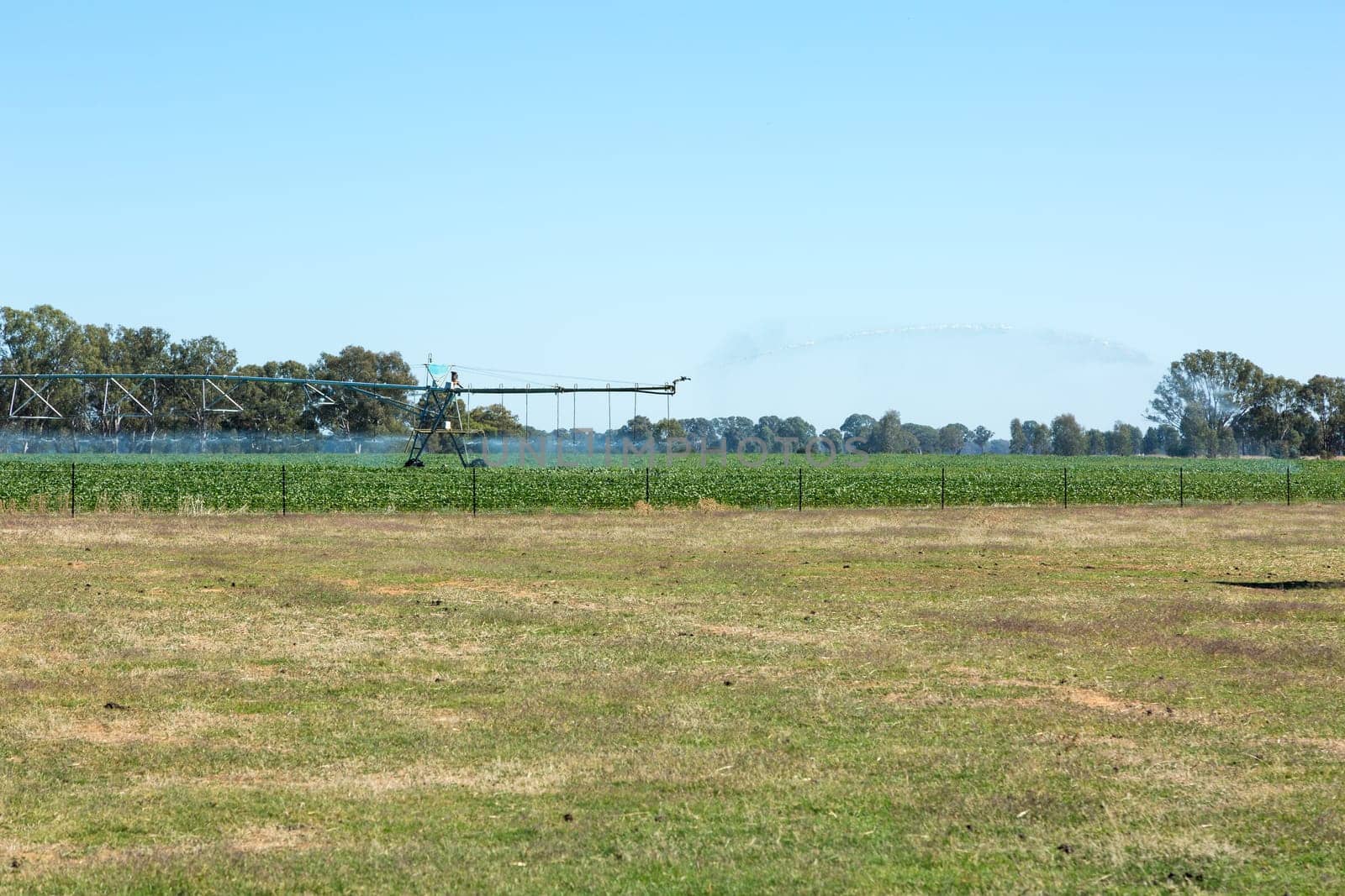 A Lateral Move Irrigation System, sometimes called a Linear Move, Wheelmove or Side Roll System, irrigating crops in Australia.