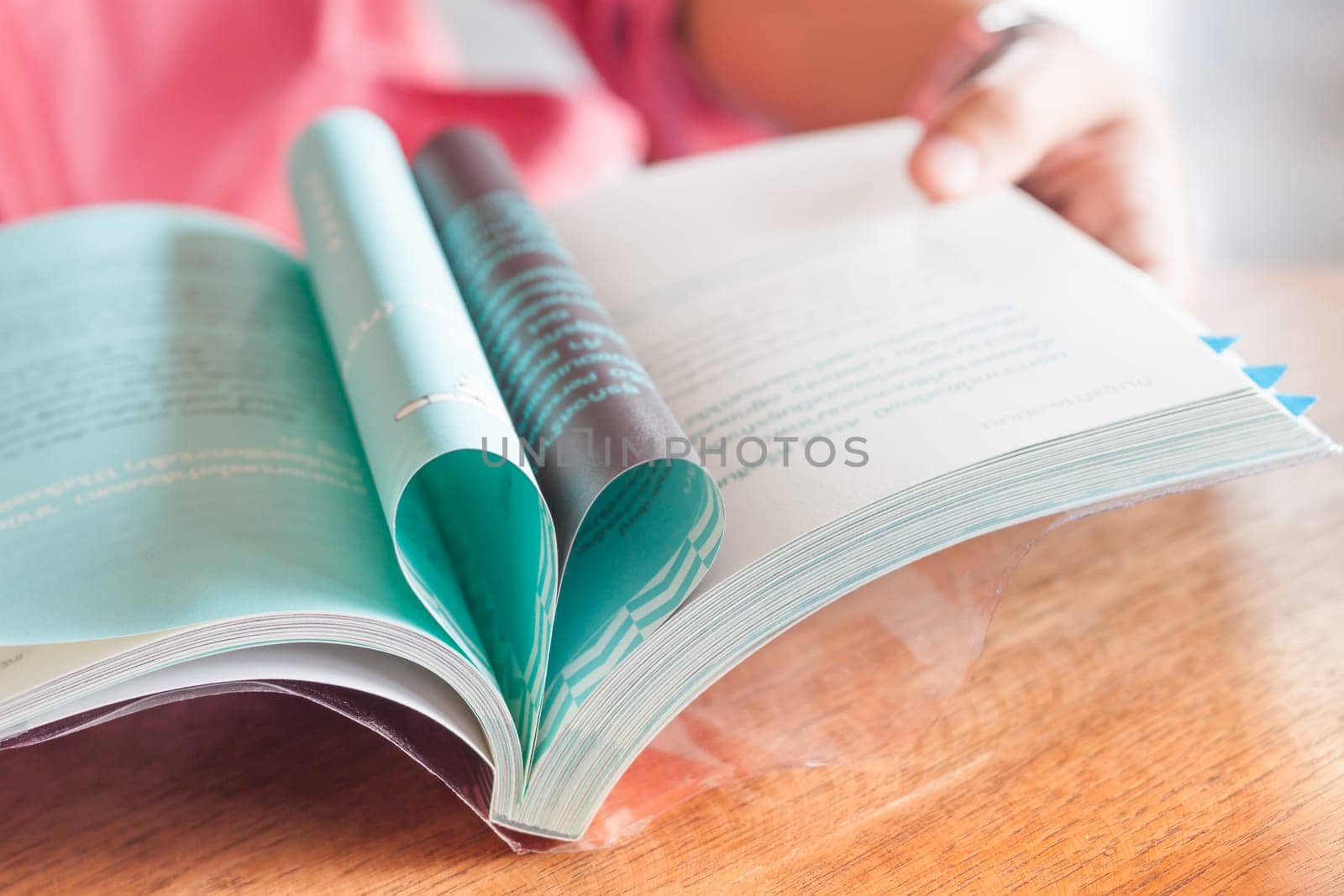 Woman reading book in coffee shop, stock photo