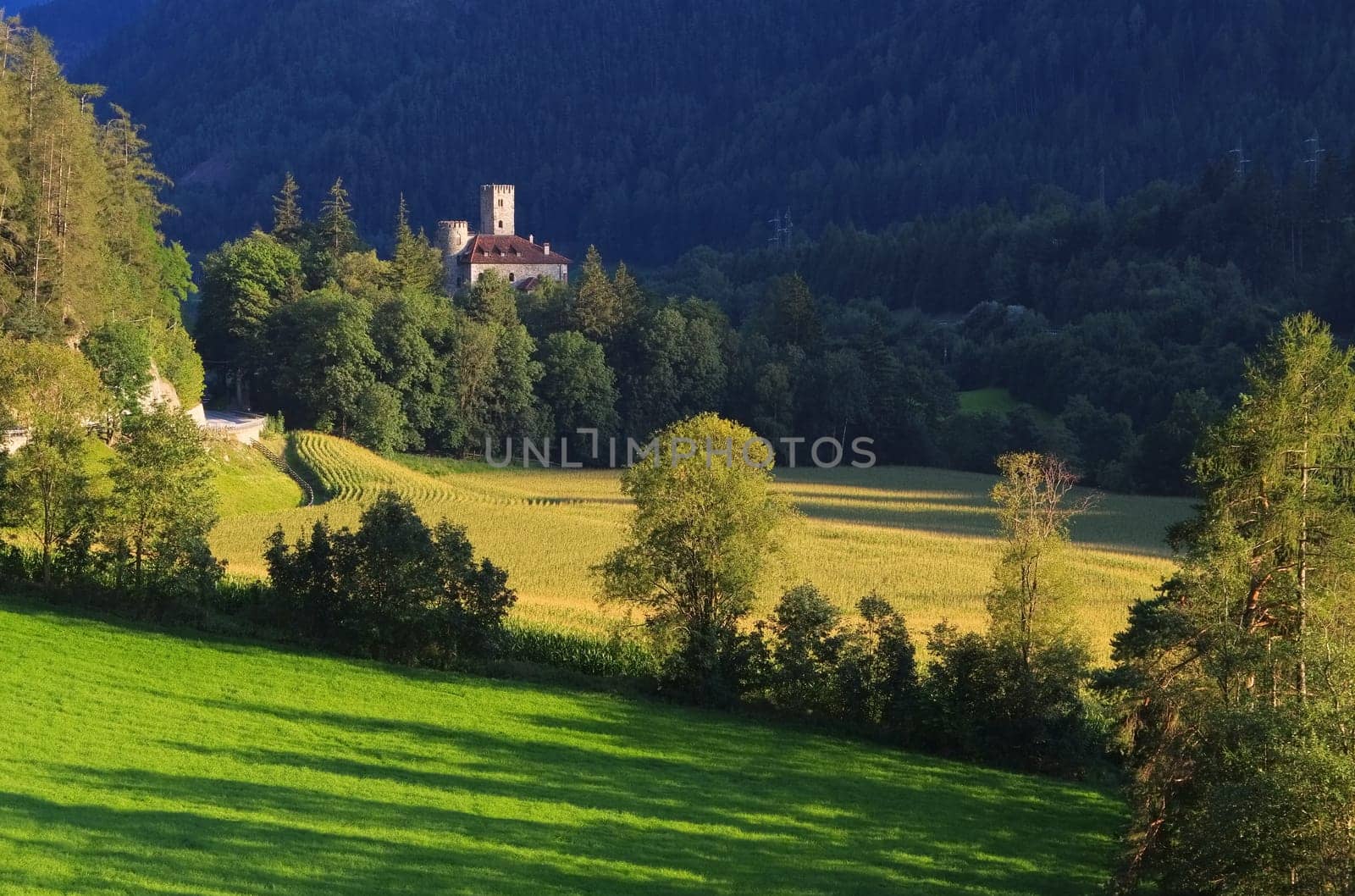 Welfenstein Castle in the Dolomites - Welfenstein castle in italian Dolomites