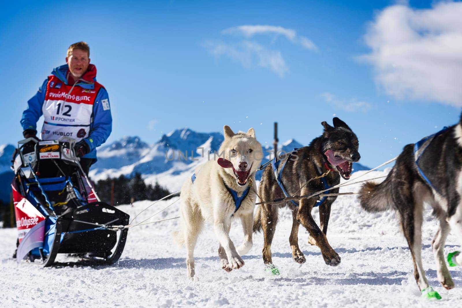SARDIERES VANOISE, FRANCE - JANUARY 20 2016 - the GRANDE ODYSSEE the hardest mushers race in savoie Mont-Blanc, Philippe Pontier, french musher, Vanoise, Alps