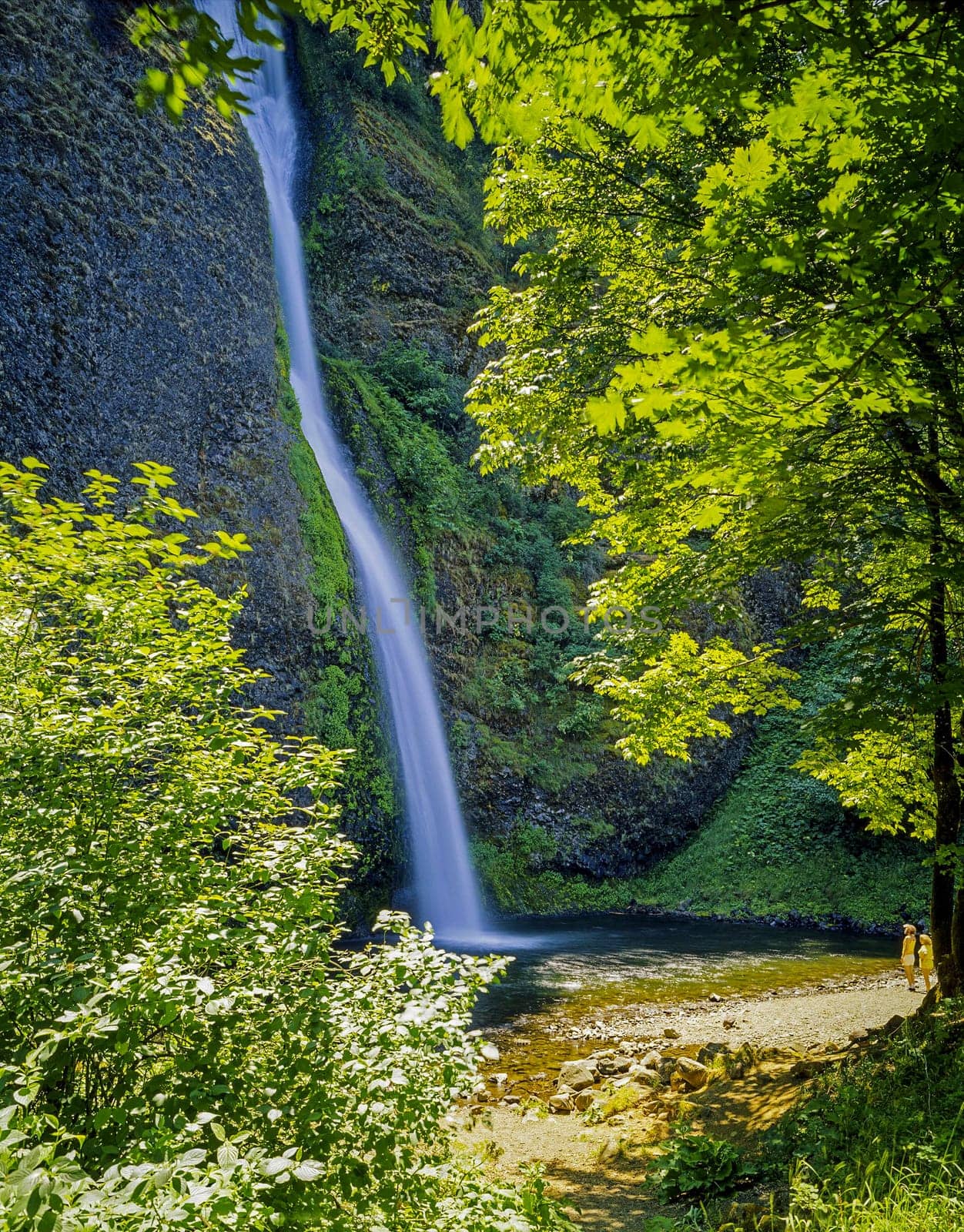 View of Latourel Falls in Oregon
