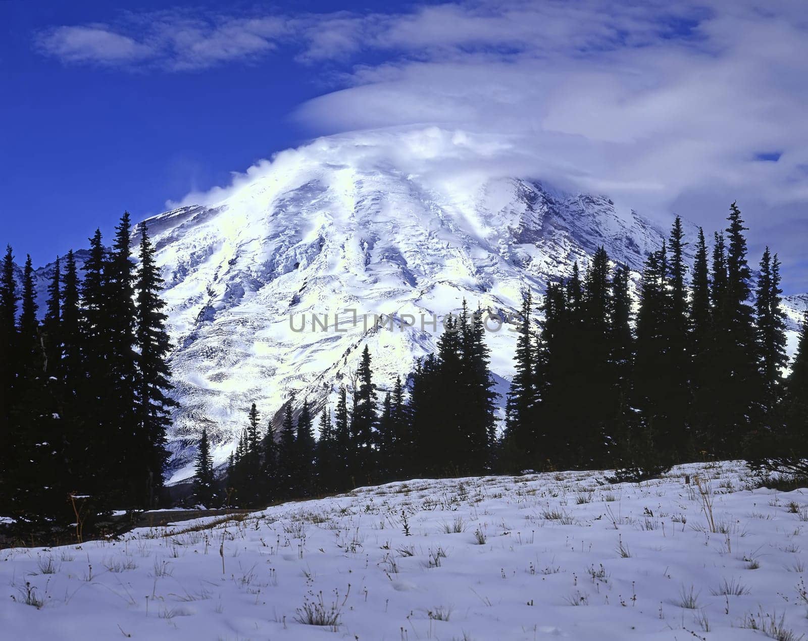 View of Mt.Rainier in winter, Washington