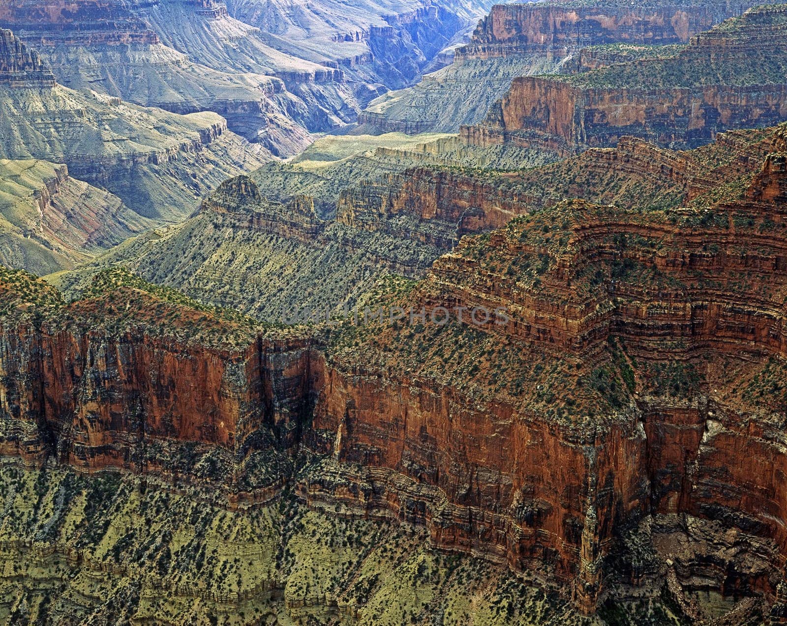 View of Grand Canyon in Arizona