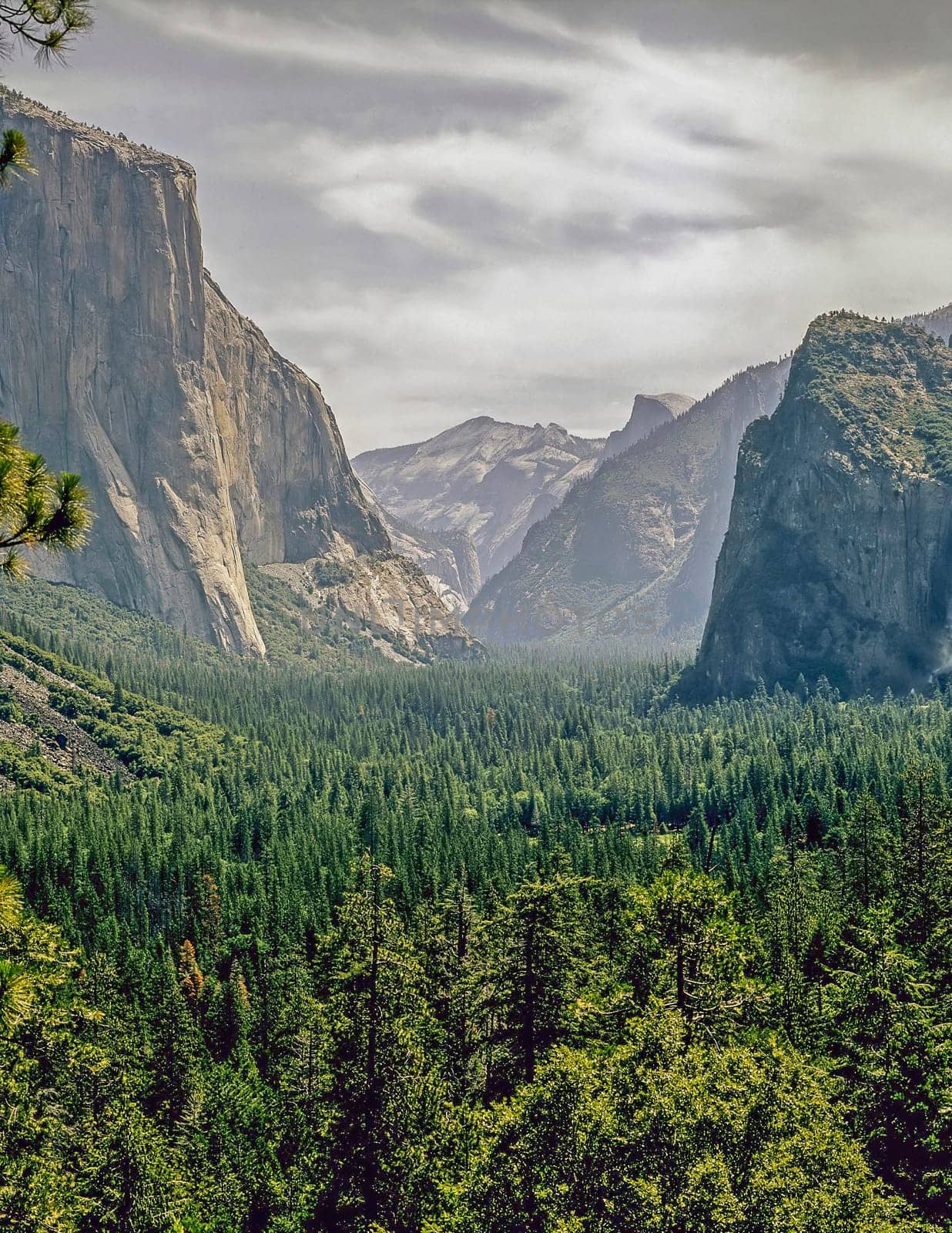 View of Yosemite Valley, California