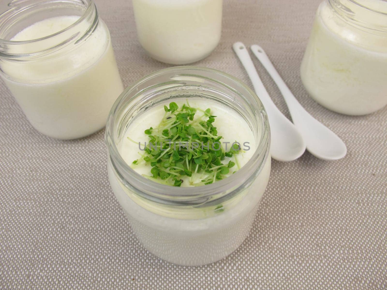 Yoghurt from the yoghurt maker with basil sprouts