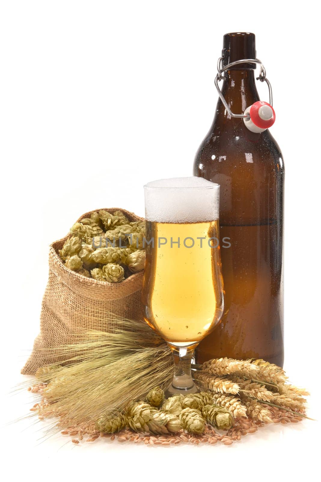 XXL beer bottle,beer glass and beer barrel with wheat,barley,hops and malt