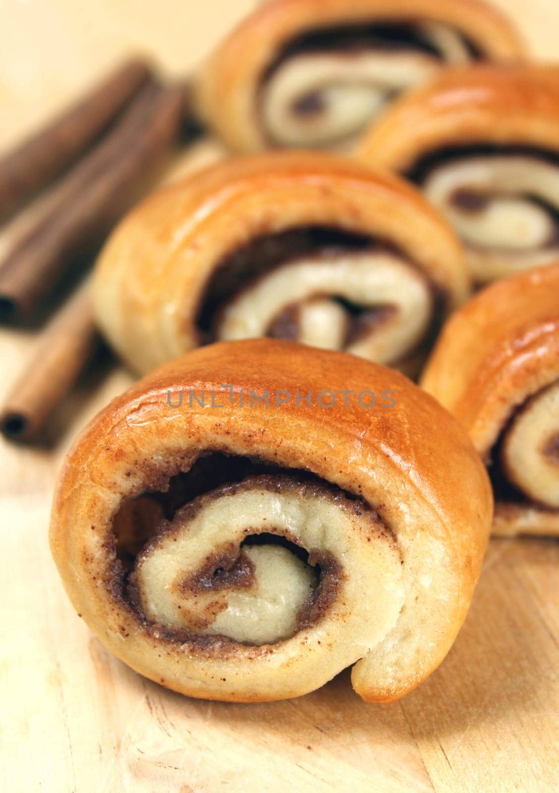 Cinnamon snails