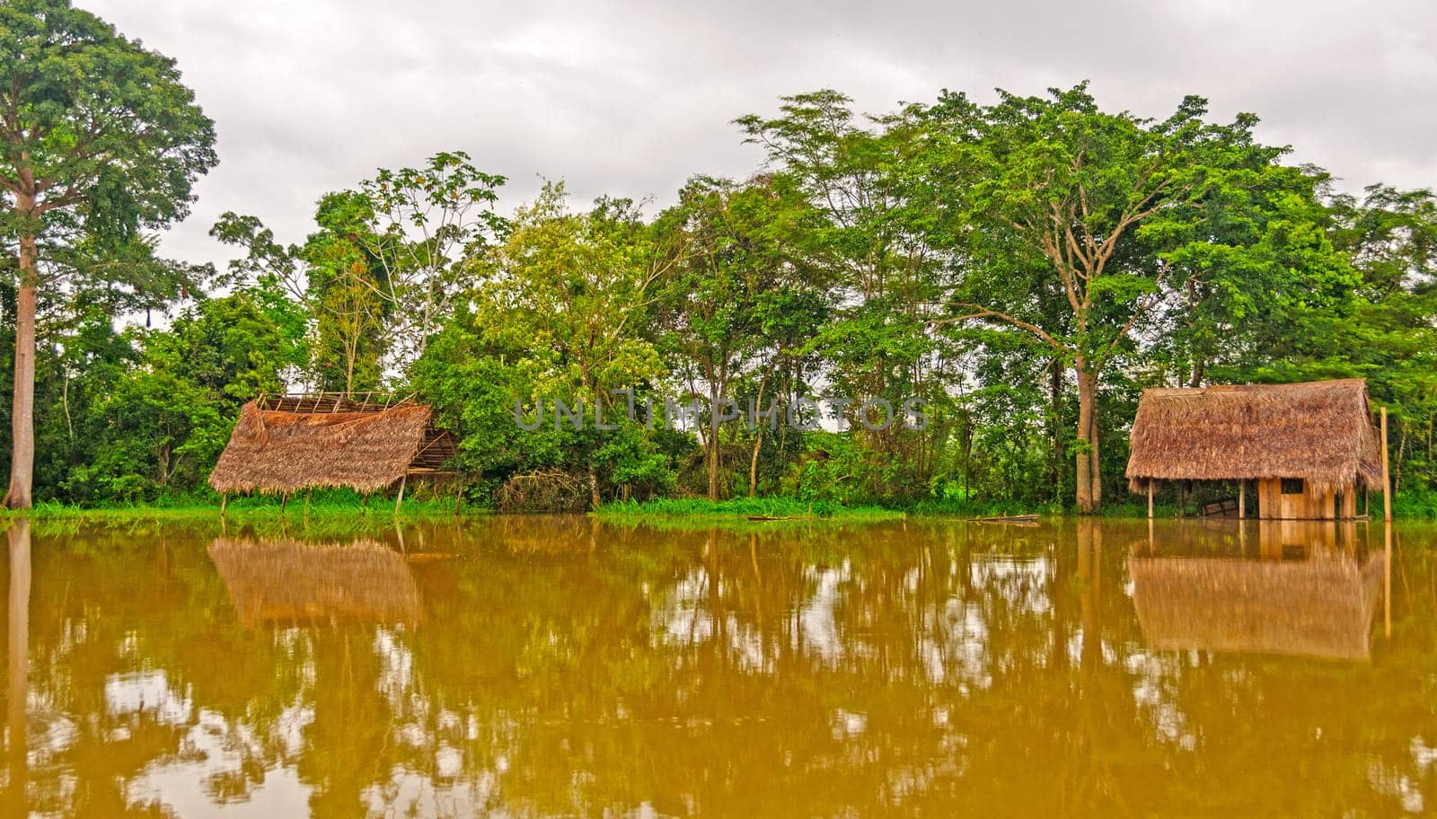 Flooded houses during high water on the Amazon