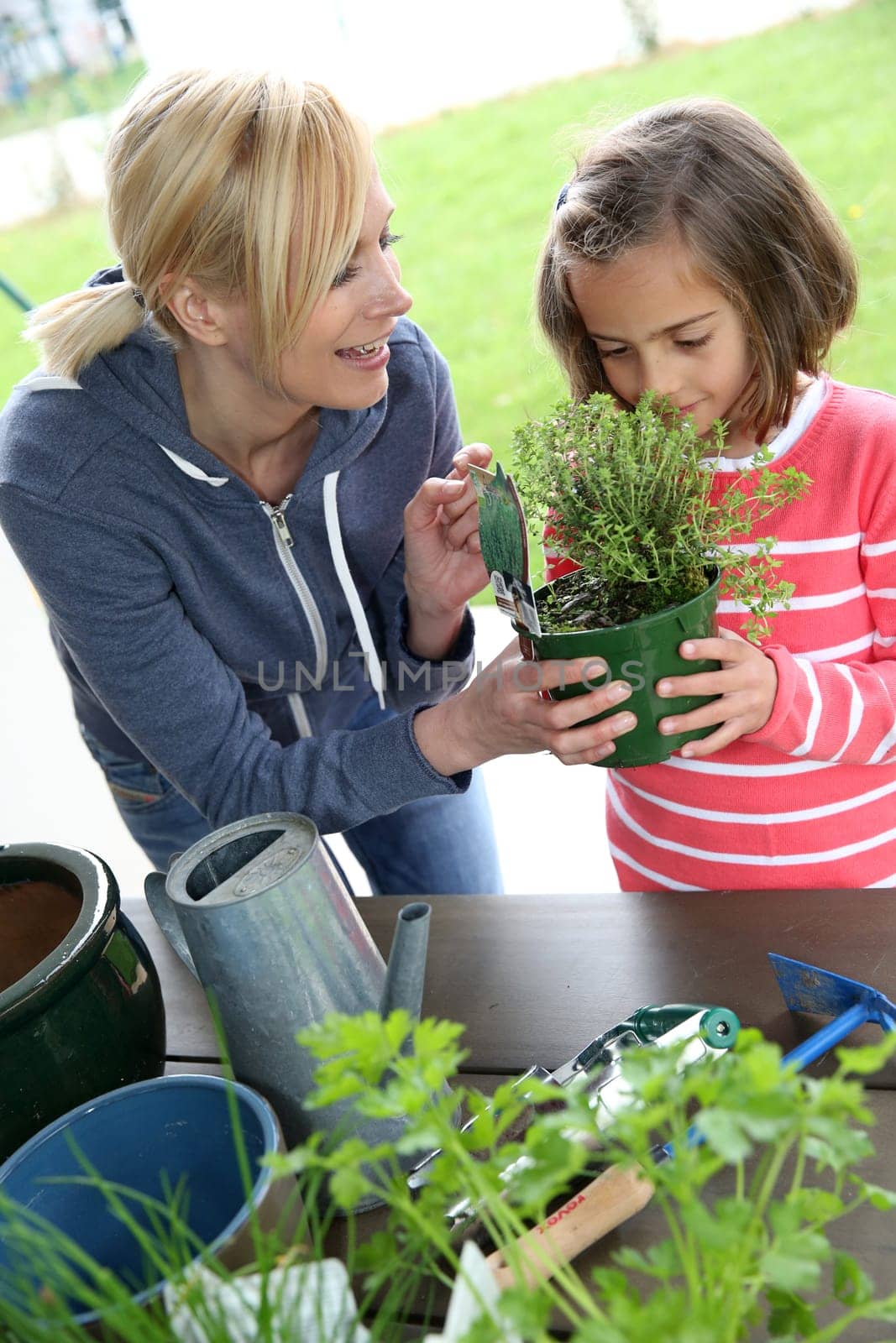 Mother and daughter in garden planting aromatic flowers