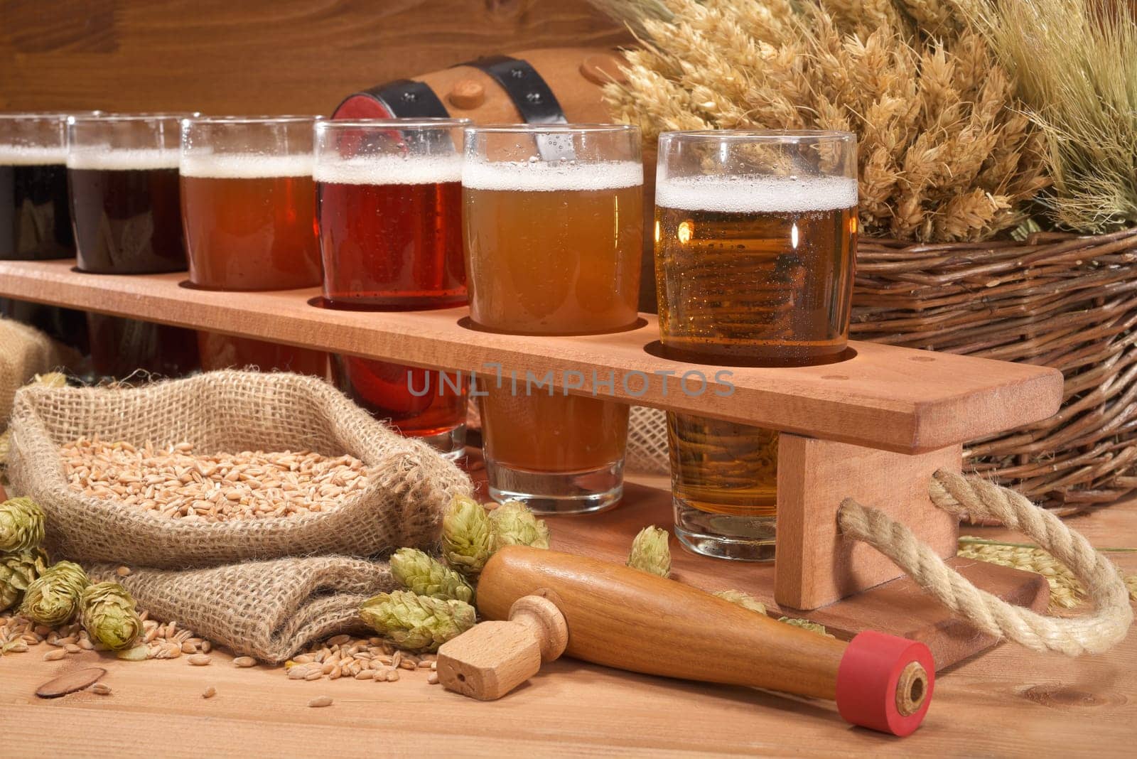 Beer carriers with many different beers,wheat,barley,hops and malt