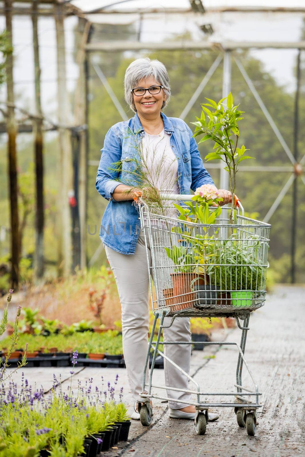 Beautiful mature woman working in a greenhouse holding flowers on her hands