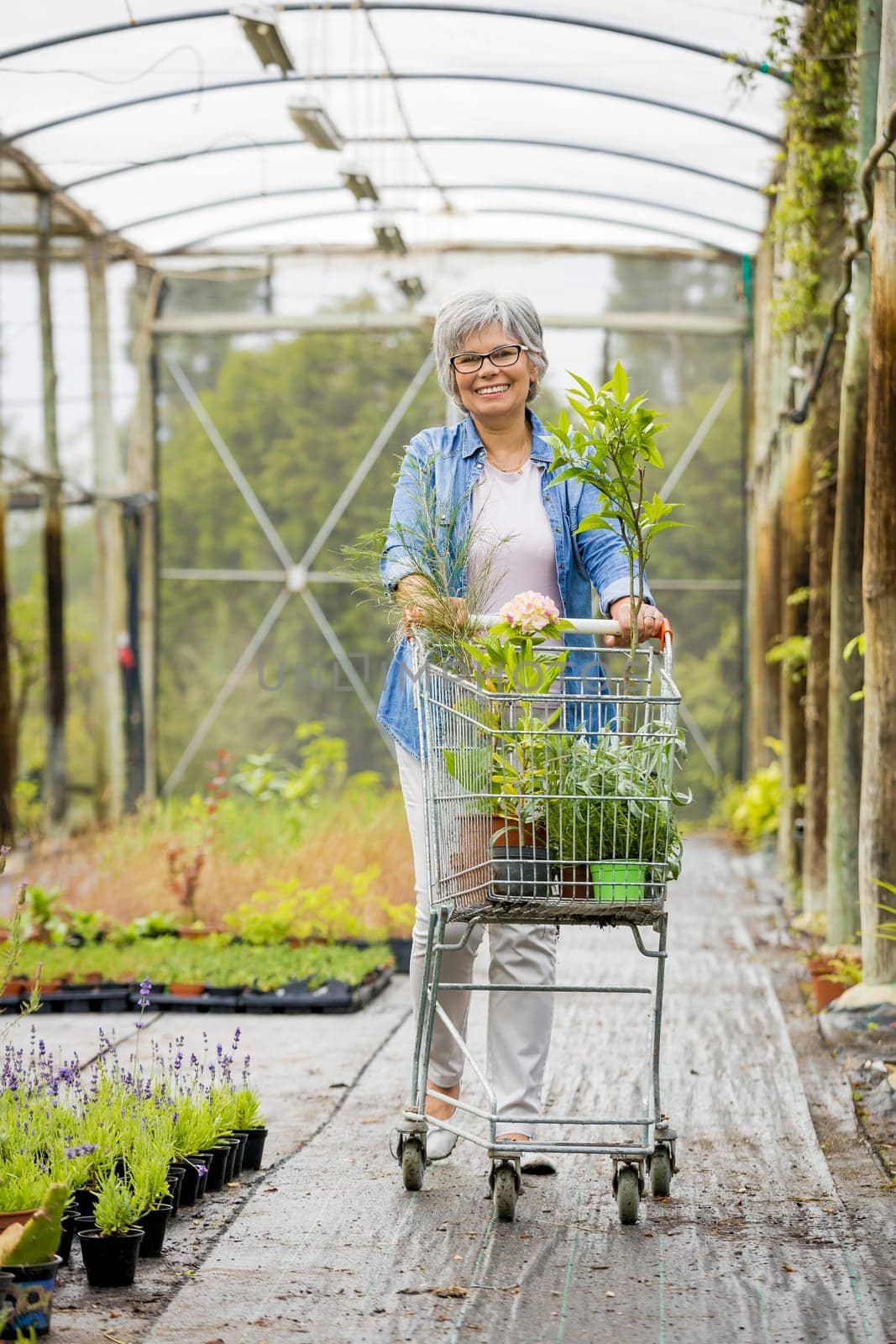 Beautiful mature woman working in a greenhouse holding flowers on her hands