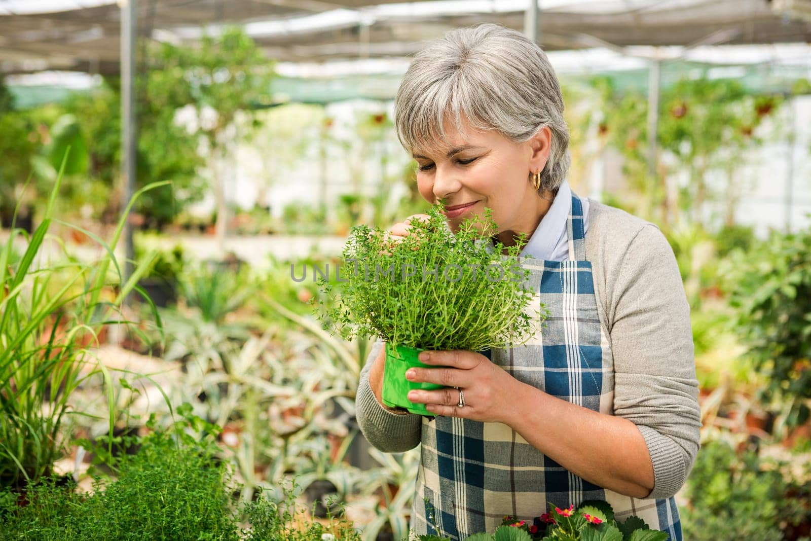 Beautiful mature woman working in a greenhouse holding flowers on her hands