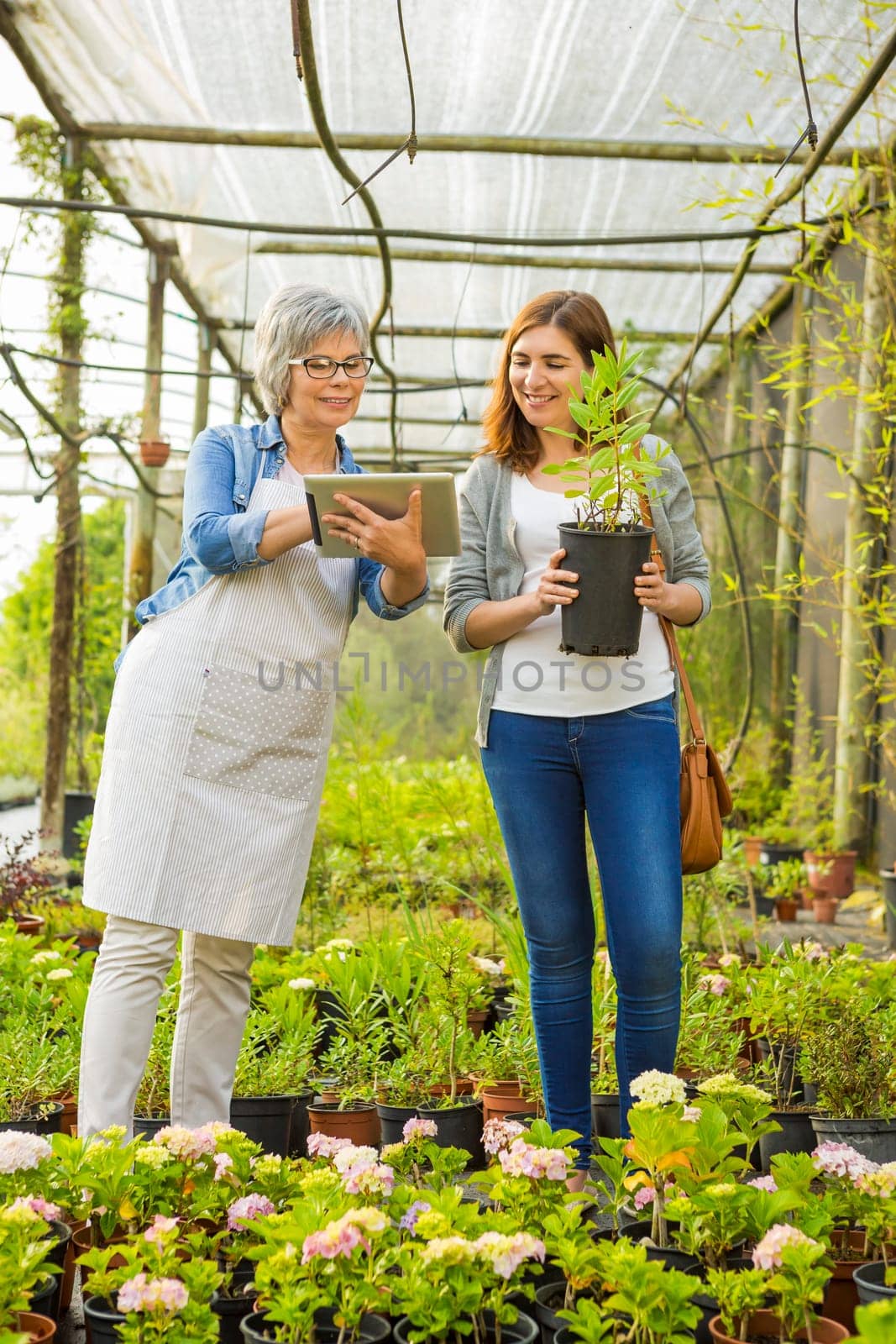 Florist helping a elderly female customer choosing plants