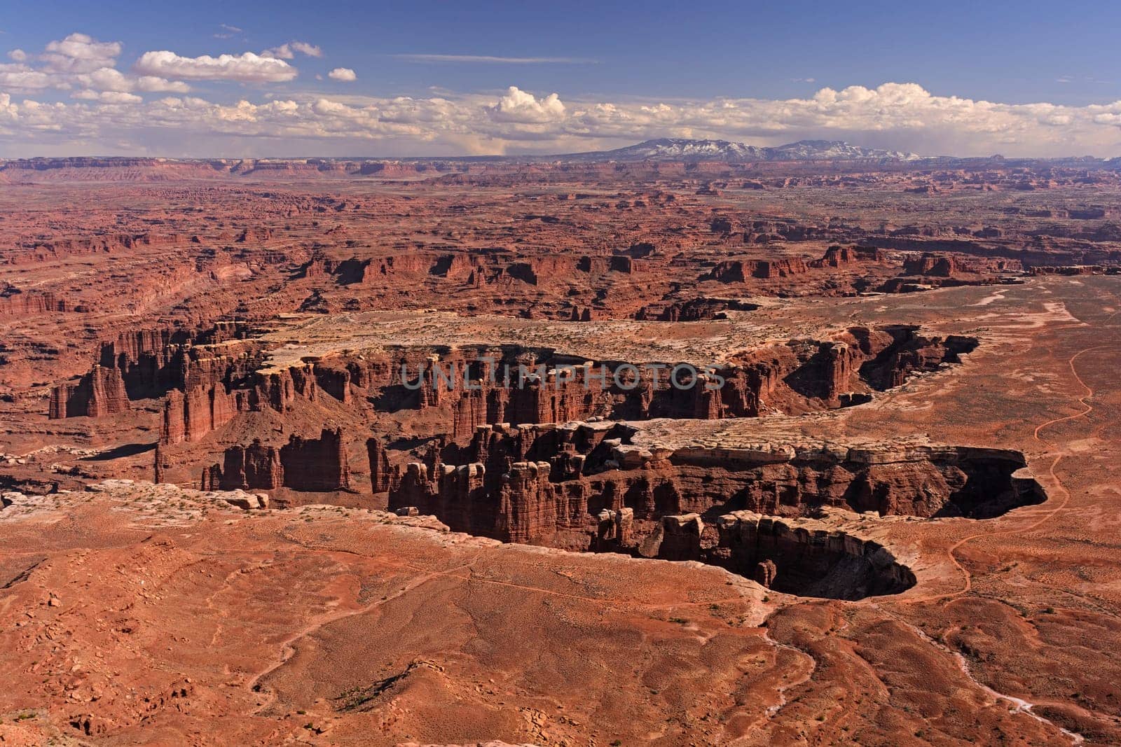 Eroded Canyons in the American West in Canyonlands National Park in Utah