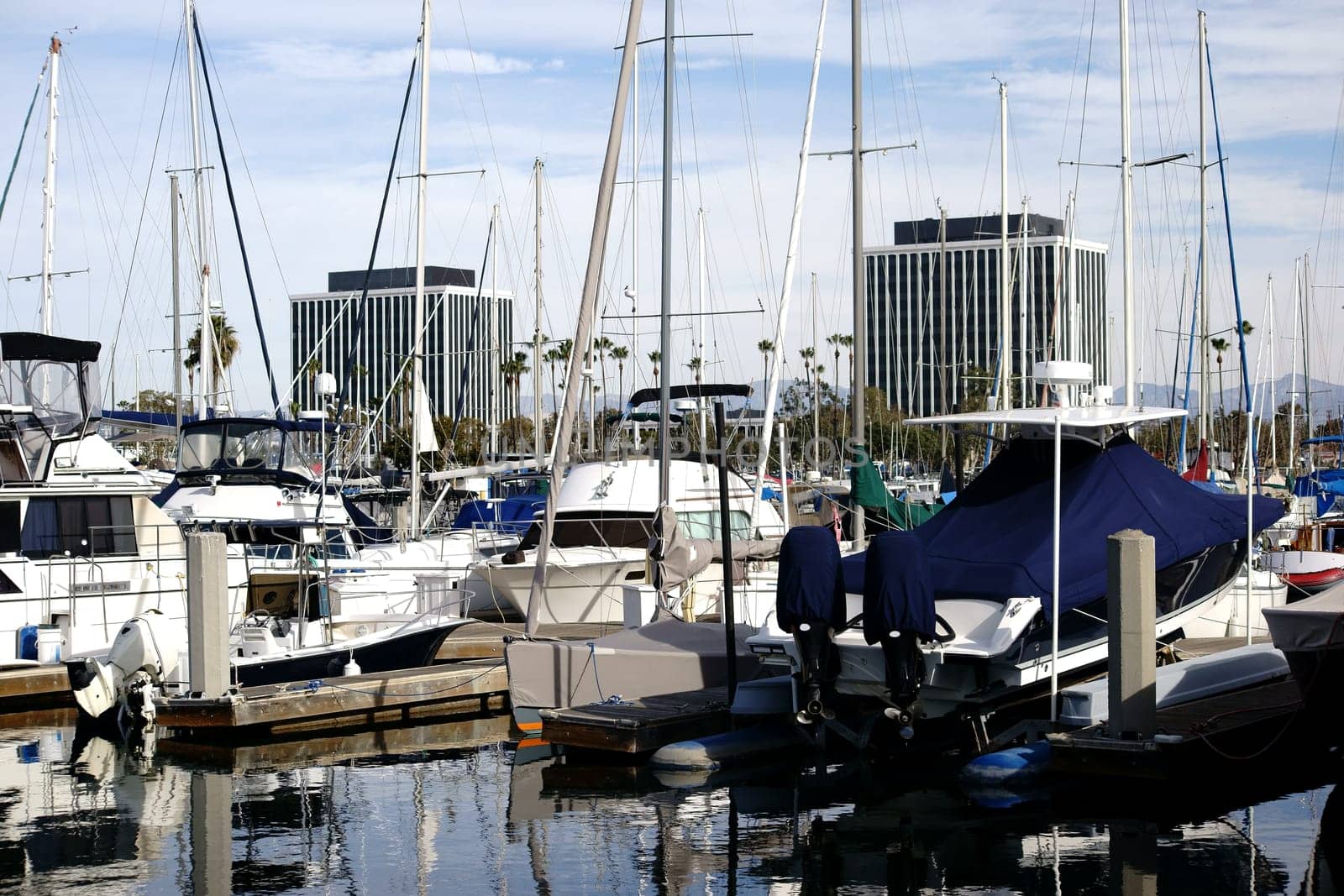 A sailing boat port with a large number of sailboats at the Marina del Ray recreational port in Los Angeles.