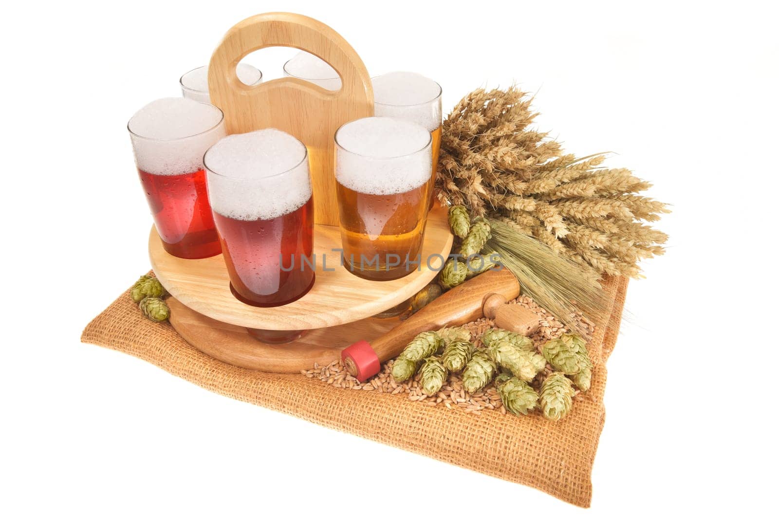 Beer carriers and beer glasses with wheat,barley,hops and malt sedated on white