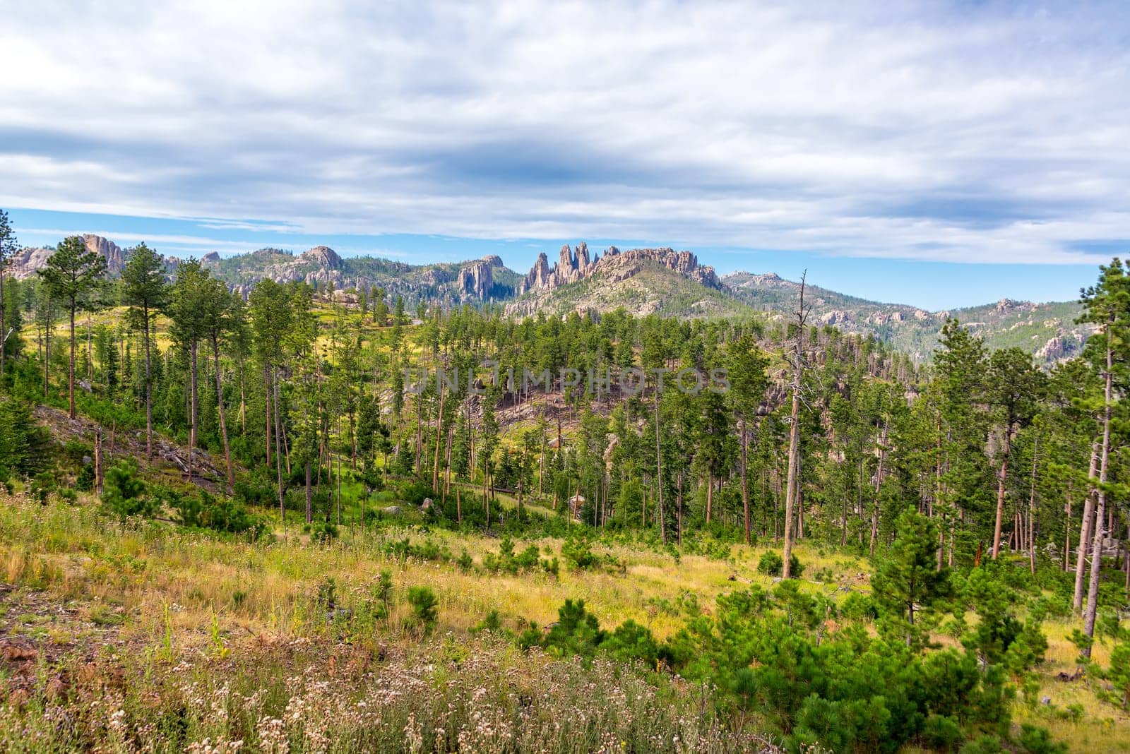 Custer State Park landscape with the Cathedral Spires rock formation rising in the background