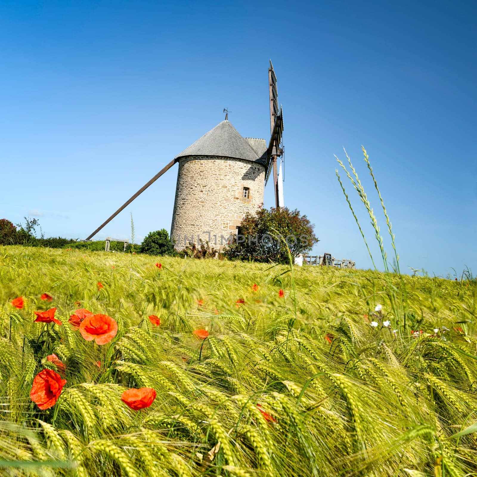 France, the Moidrey windmill in Pontorson in Normandie