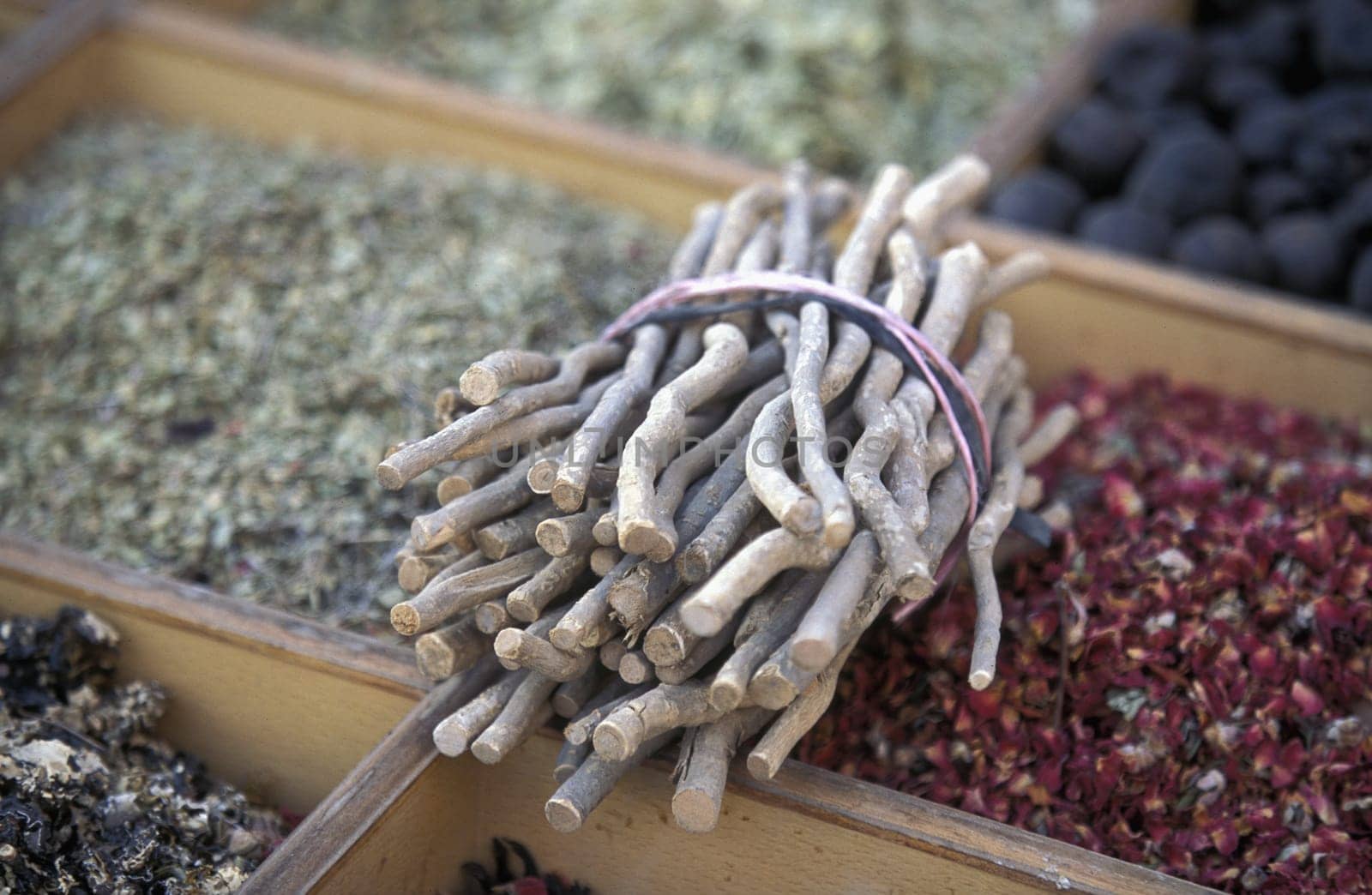 a spyces shop the souq or Market in the old town in the city of Dubai in the Arab Emirates in the Gulf of Arabia.