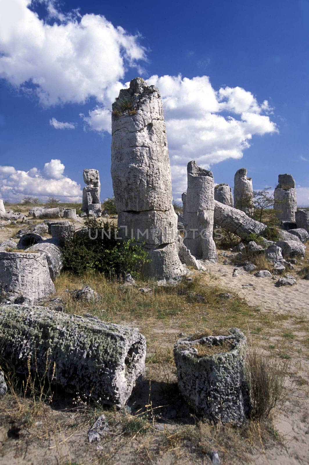 the stone forest near the city of Varna on the Blacksea in Bulgaria in east Europe.