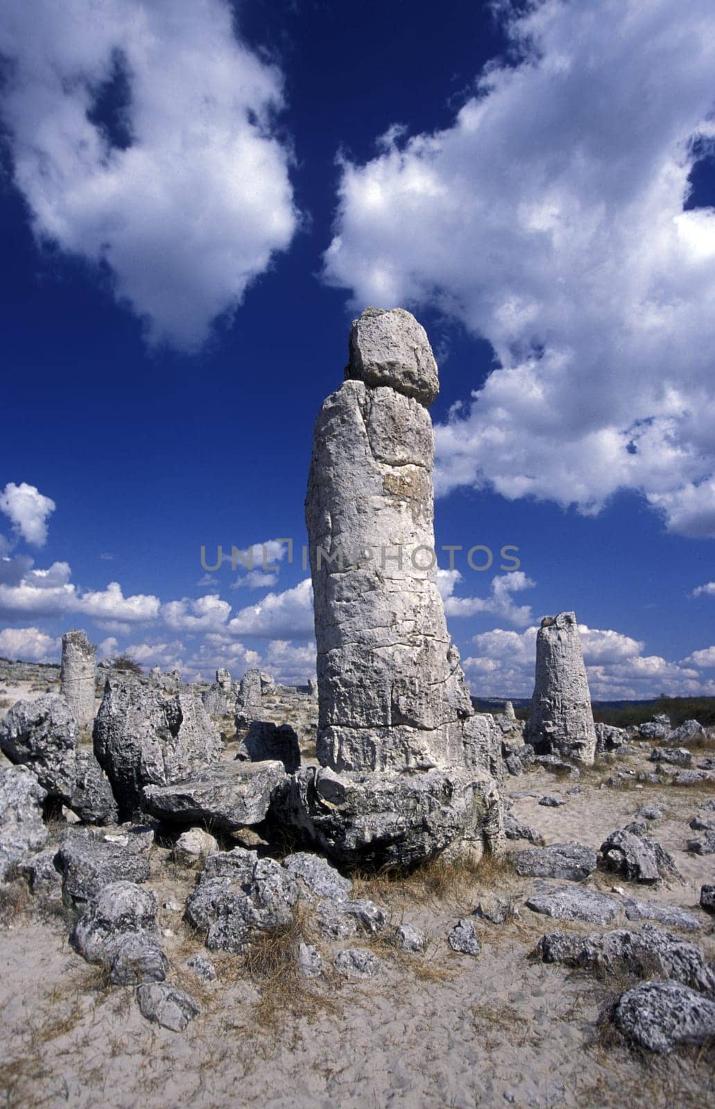 the stone forest near the city of Varna on the Blacksea in Bulgaria in east Europe.