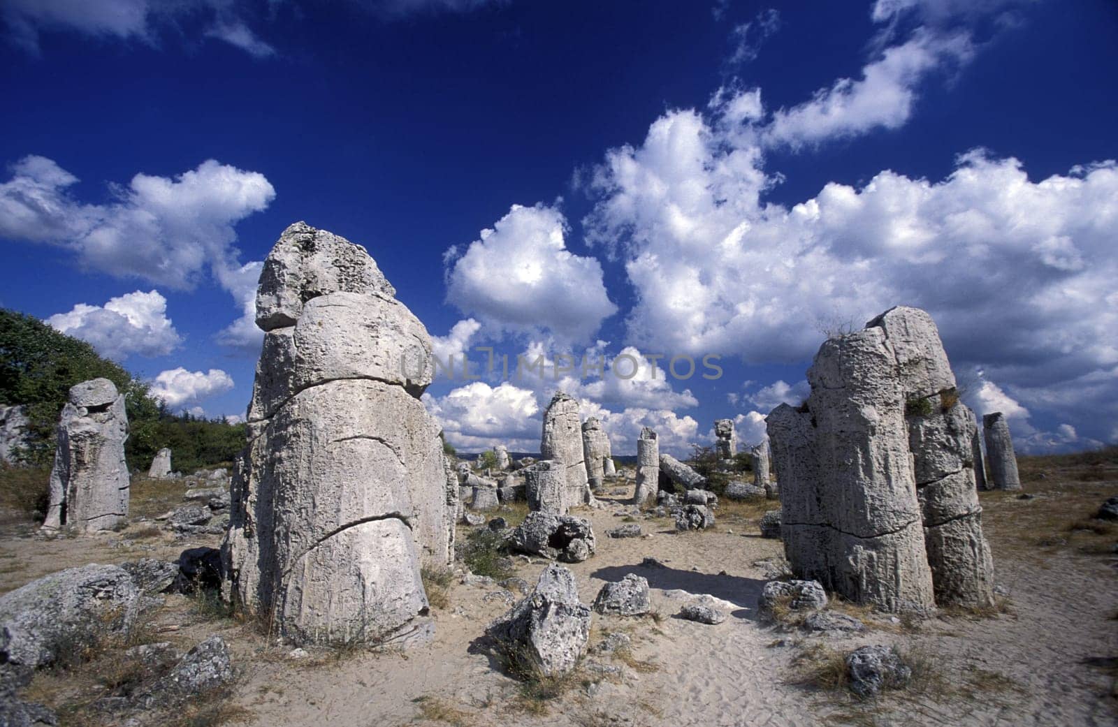 the stone forest near the city of Varna on the Blacksea in Bulgaria in east Europe.