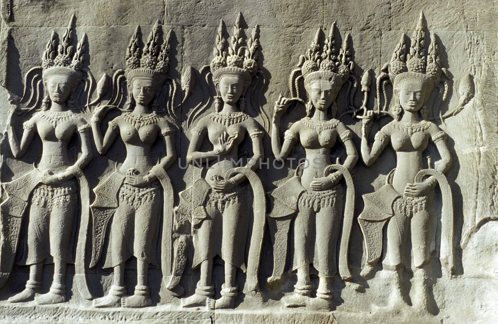 the angkor wat temple in Angkor at the town of siem riep in cambodia in southeastasia.