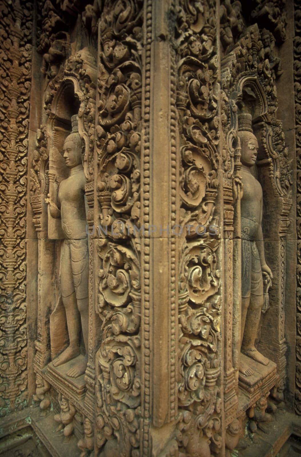 the Banteay Srei temple in Angkor at the town of siem riep in cambodia in southeastasia.