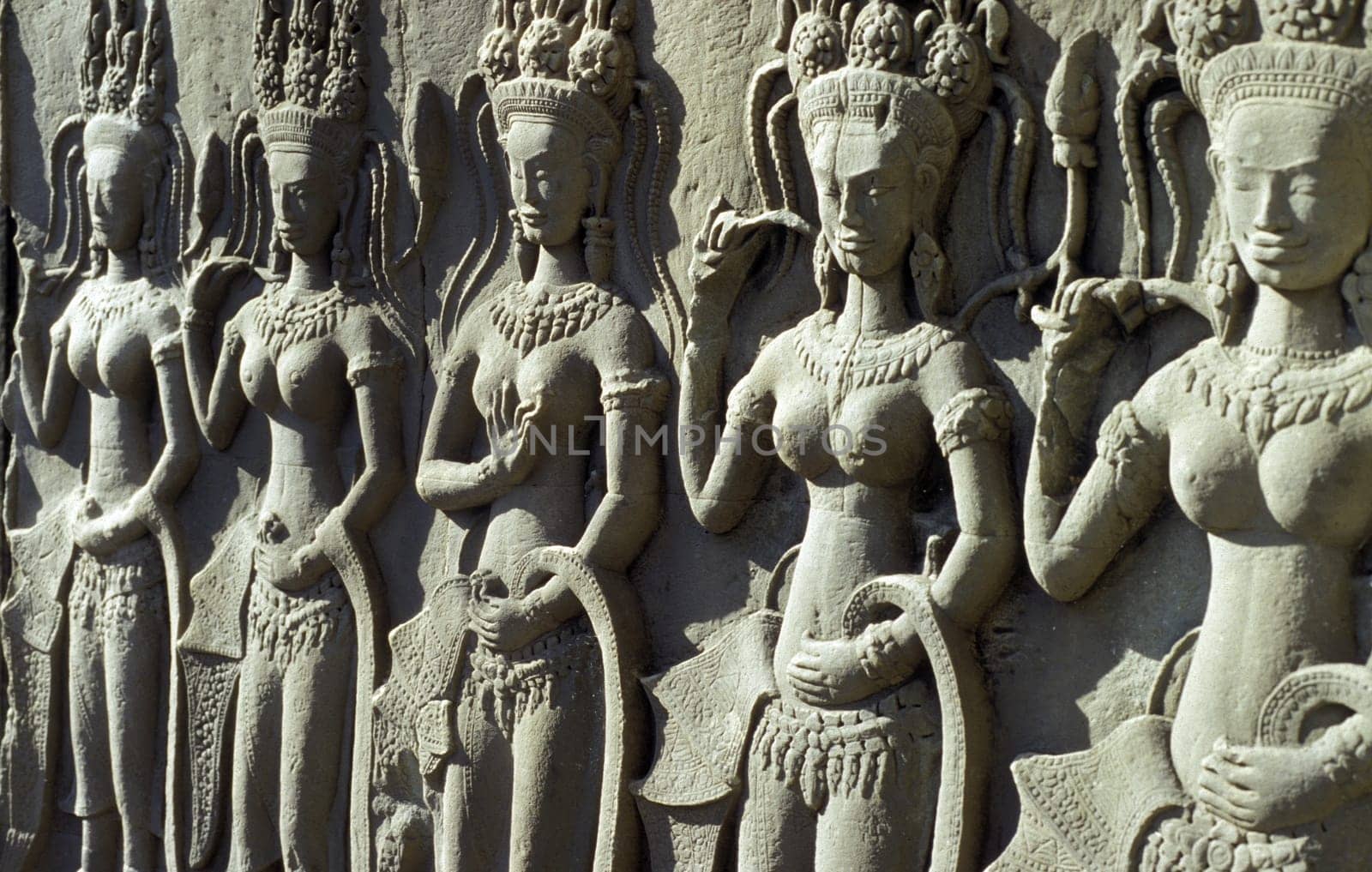the angkor wat temple in Angkor at the town of siem riep in cambodia in southeastasia.