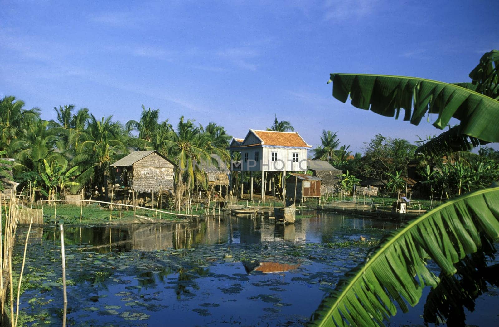 a Farmer village outside of the city of phnom penh in cambodia in southeastasia.