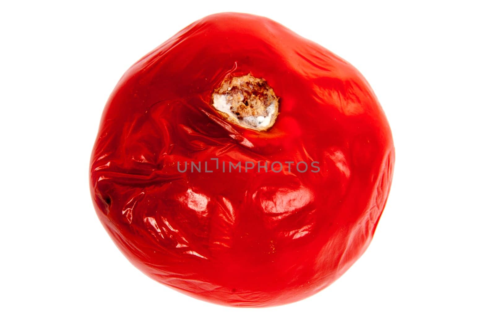 rotten tomatoe on the white background