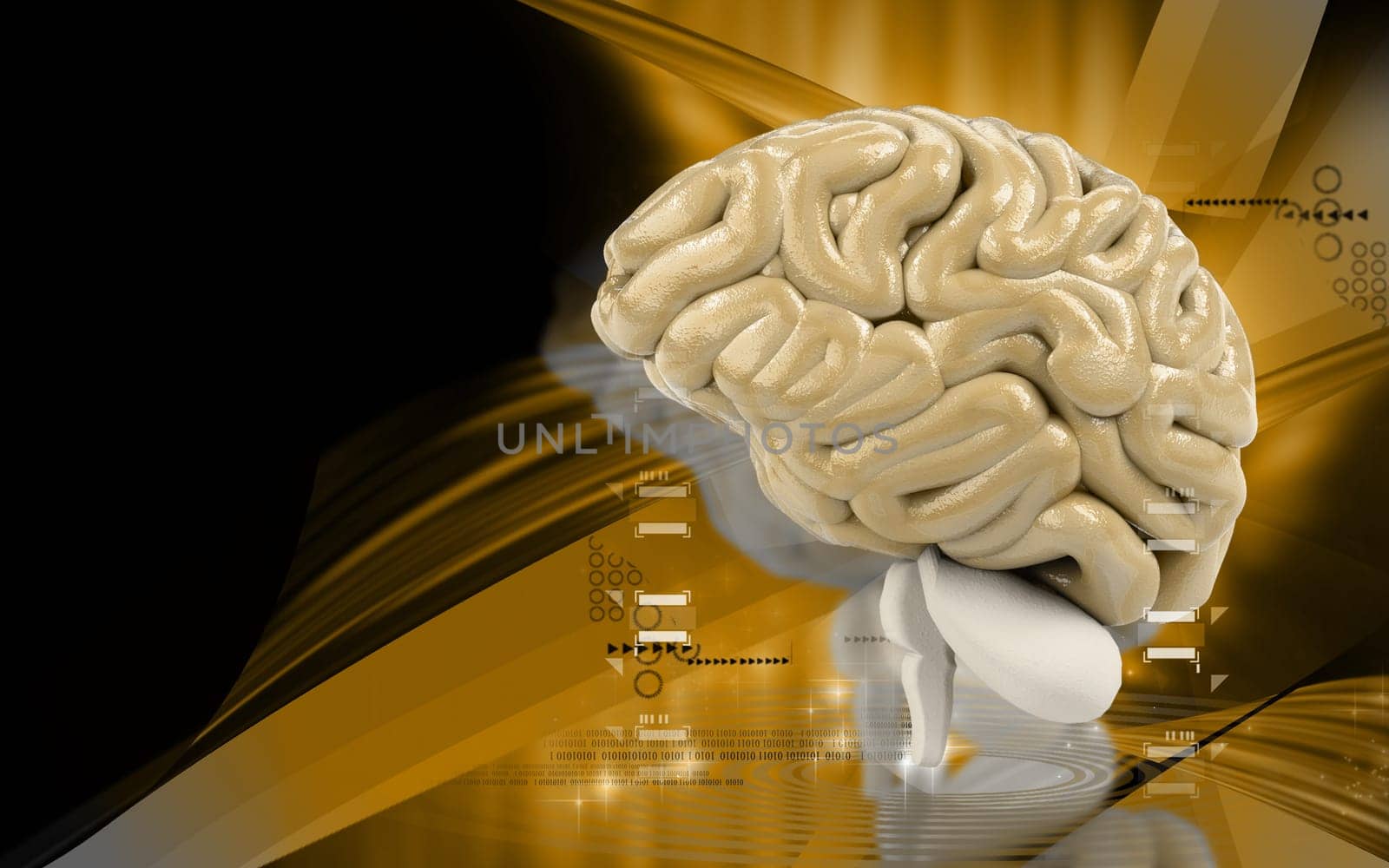 Digital illustration of brain in colour background
