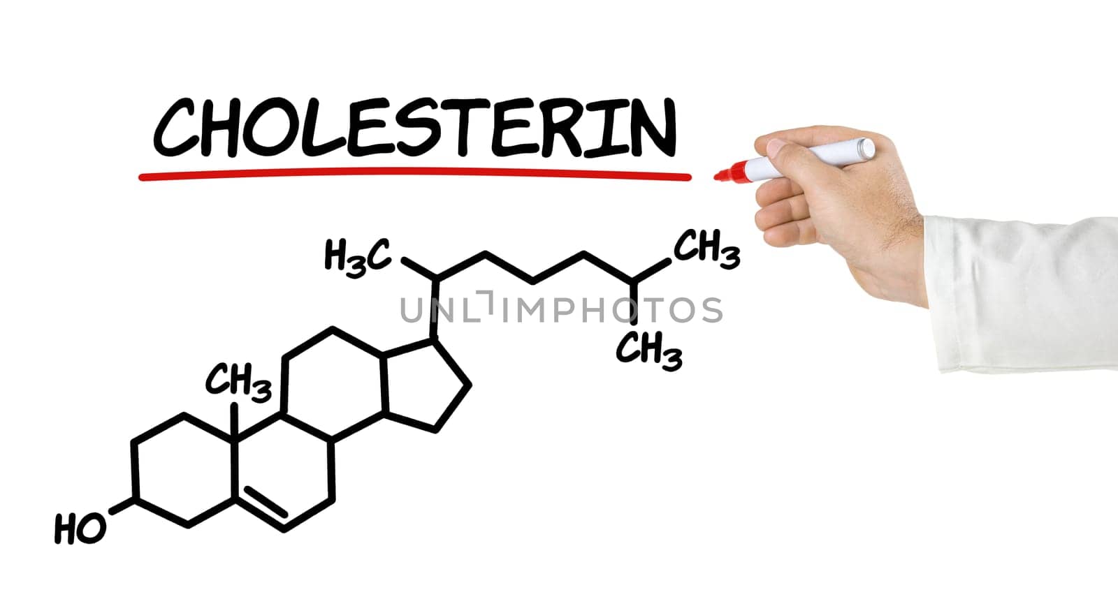 Chemical structural formula of cholseterin